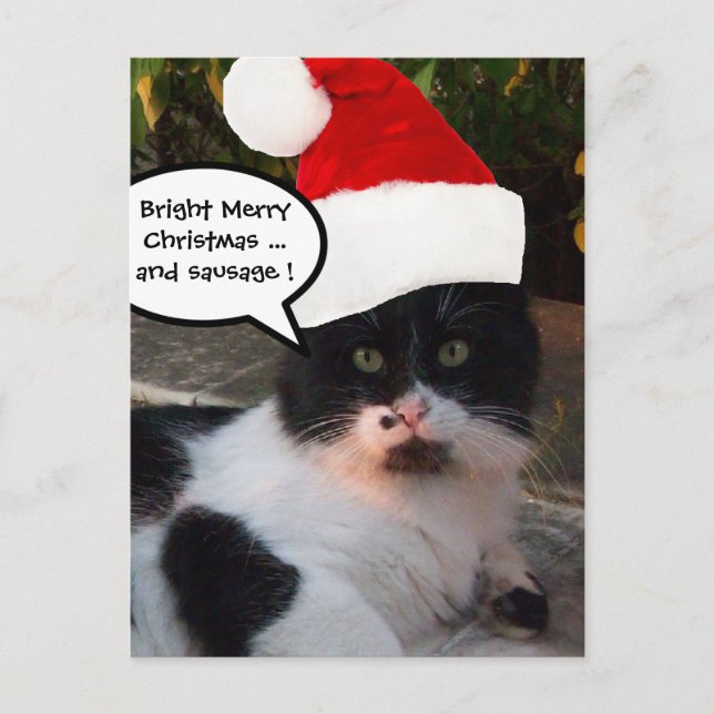 CARTES POUR FÊTES ANNUELLES CHAT NOIR BLANC AVEC CASQUETTE SANTA CLAUS (Devant)