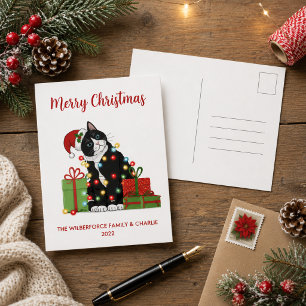 Cartes Pour Fêtes Annuelles Chat noir drôle et Noël Lumières Noël