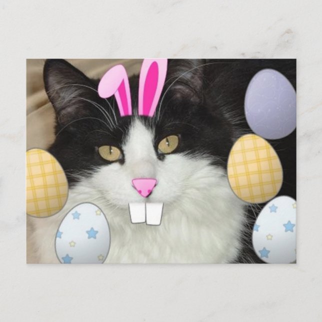 Cartes Pour Fêtes Annuelles Chat noir et blanc de Pâques (Devant)