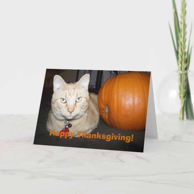 Cartes Pour Fêtes Annuelles Chat Orange avec Bon thanksgiving Citrouille (Devant)