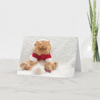 Cartes Pour Fêtes Annuelles Chat perse avec télécommande Tv