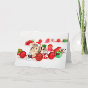 Cartes Pour Fêtes Annuelles Chat portant un chapeau de Père Noël rouge Ornemen