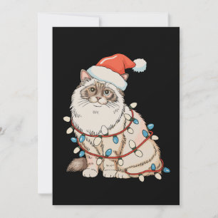 Cartes Pour Fêtes Annuelles Chat Raton de Noël Chapeau de Père Noël Lumières d