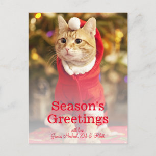 Cartes Pour Fêtes Annuelles Chat rouge masculin portant un costume père Noël