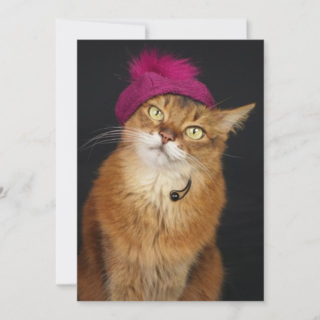 Cartes Pour Fêtes Annuelles Chat somalien portant un Beret de framboise (Devant)
