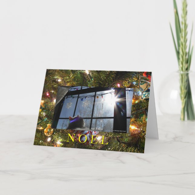 Cartes Pour Fêtes Annuelles Chat Sunburst 2/ Noel (Devant)