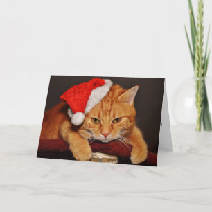 Cartes Pour Fêtes Annuelles Chat Tabby orange dans un chapeau de Père Noël