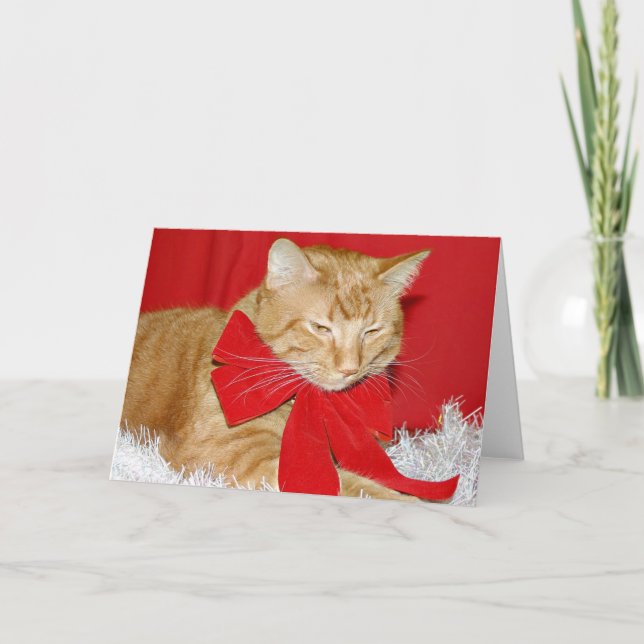 Cartes Pour Fêtes Annuelles Chat tigré orange dans l'arc (Devant)