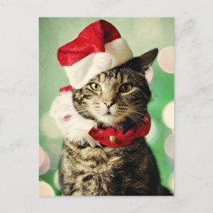 Cartes Pour Fêtes Annuelles Chat tigré utilisant un casquette et un collier de