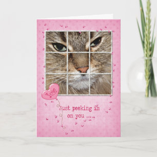 Cartes Pour Fêtes Annuelles Chat Valentine dans la fenêtre