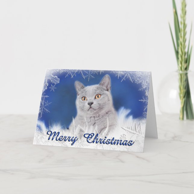 Cartes Pour Fêtes Annuelles chaton à cheveux court britannique (Devant)