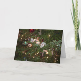Cartes Pour Fêtes Annuelles Chaton de Noël