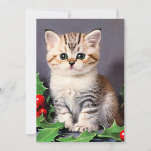 Cartes Pour Fêtes Annuelles Chaton de Noël vintage et houx