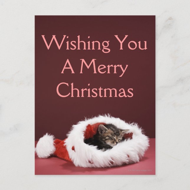 Cartes Pour Fêtes Annuelles Chaton endormi dans le casquette de Noël (Devant)