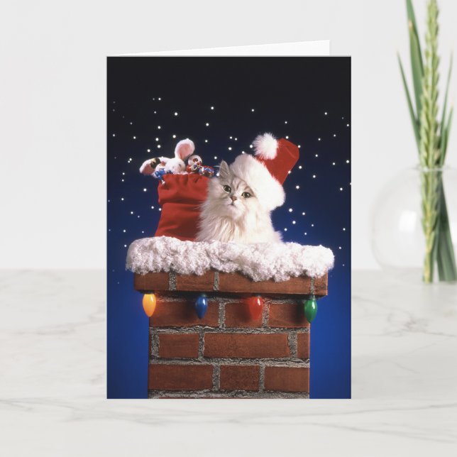 Cartes Pour Fêtes Annuelles Chaton mignon avec le casquette de Père Noël (Devant)