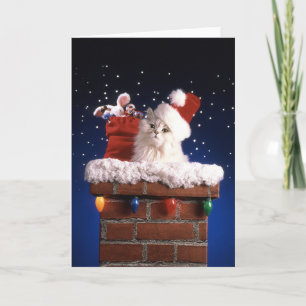 Cartes Pour Fêtes Annuelles Chaton mignon avec le casquette de Père Noël