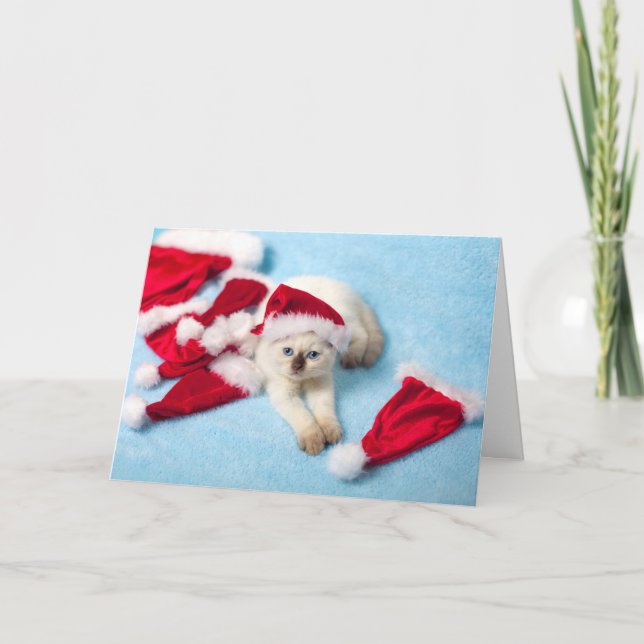 Cartes Pour Fêtes Annuelles Chaton siamois : Casquettes de Père Noël (Devant)