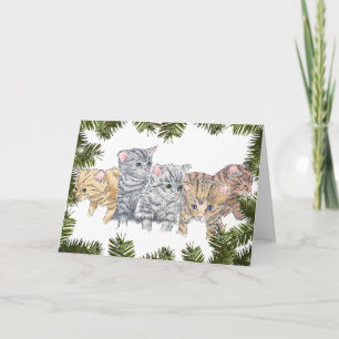 Cartes Pour Fêtes Annuelles Chatons contemporains amusants dans les pins Noël