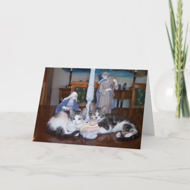 Cartes Pour Fêtes Annuelles Chatons de Jésus (Devant)