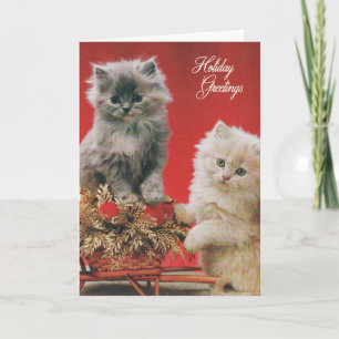 Cartes Pour Fêtes Annuelles Chatons de Noël