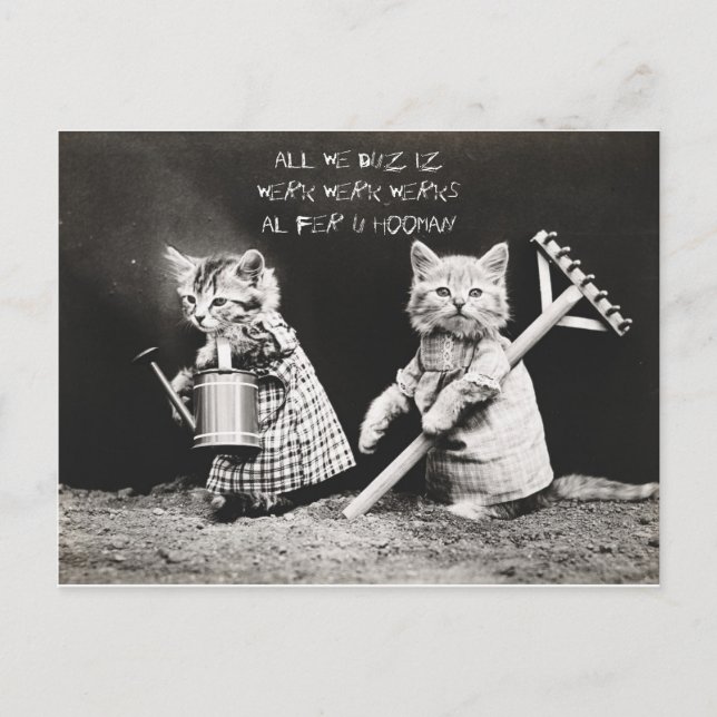Cartes Pour Fêtes Annuelles Chatons de travail (Devant)