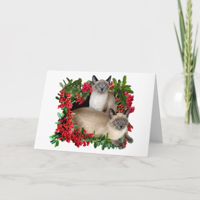 Cartes Pour Fêtes Annuelles Chatons siamois dans le cadre de baie (Devant)