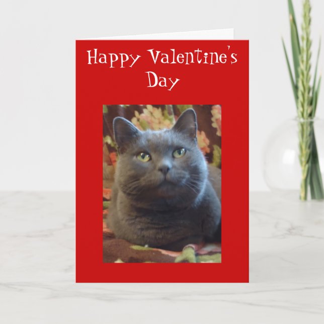 Cartes Pour Fêtes Annuelles Chatouillements (Devant)