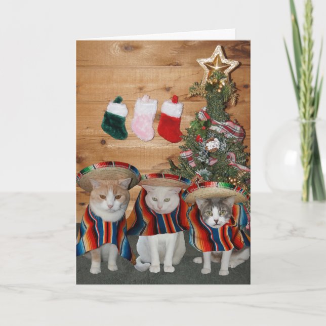 Cartes Pour Fêtes Annuelles Chats amusants/Kitties Feliz Navidad (Devant)