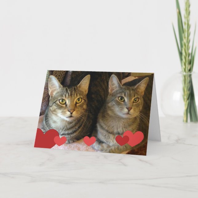 Cartes Pour Fêtes Annuelles Chats de la Saint Valentin (Devant)