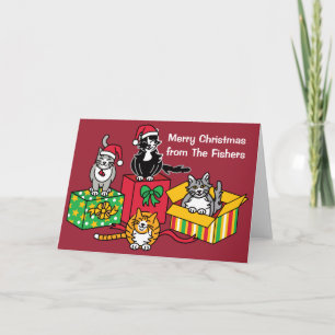 Cartes Pour Fêtes Annuelles Chats de Noël
