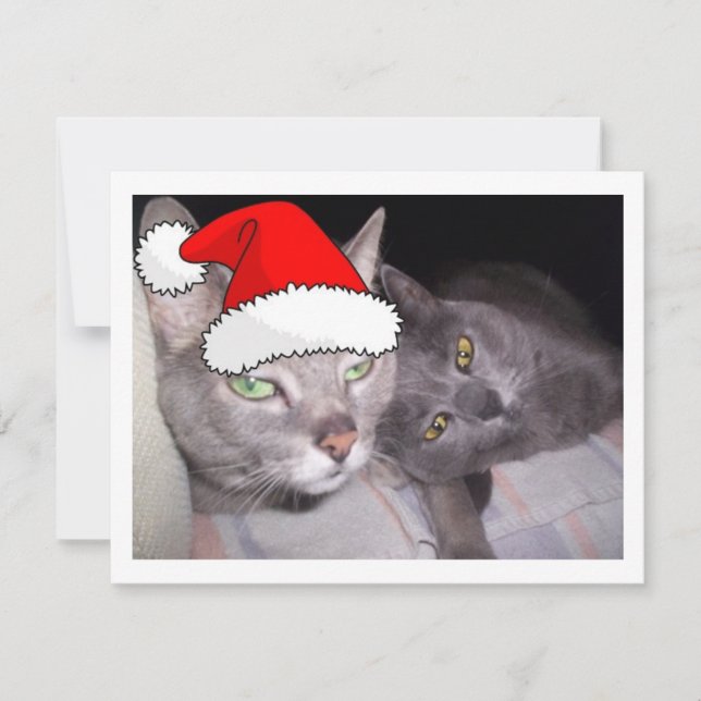 Cartes Pour Fêtes Annuelles Chats de Noël (Devant)