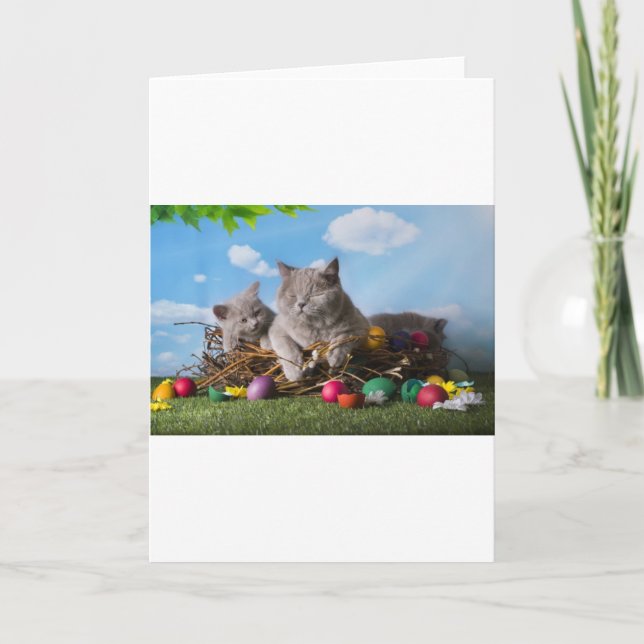Cartes Pour Fêtes Annuelles Chats de Pâques (Devant)
