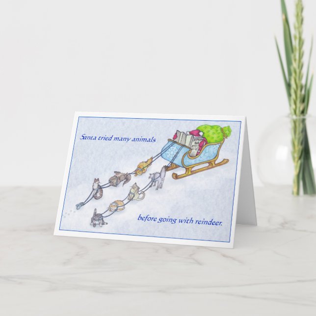 Cartes Pour Fêtes Annuelles Chats de traîneau (Devant)