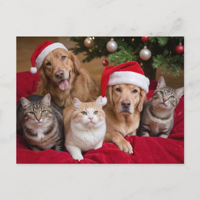 Cartes Pour Fêtes Annuelles Chats et chiens de Noël mignons (Devant)