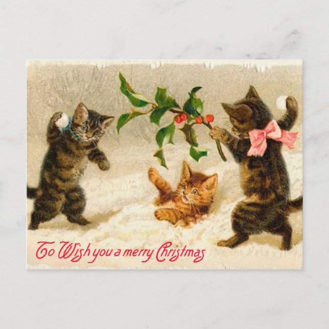 Cartes Pour Fêtes Annuelles Chats jouant dans Noël de cru de neige (Devant)
