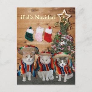 Cartes Pour Fêtes Annuelles Chats/minous drôles Feliz Navidad