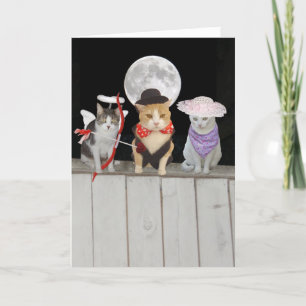 Cartes Pour Fêtes Annuelles Chats/minous drôles Valentine