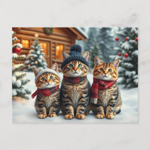Cartes Pour Fêtes Annuelles Chats tabby en tenue de pré-hiver et chapeau d'hiv