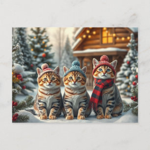 Cartes Pour Fêtes Annuelles Chats tabby en tenue de winter chic et chapeau d'h