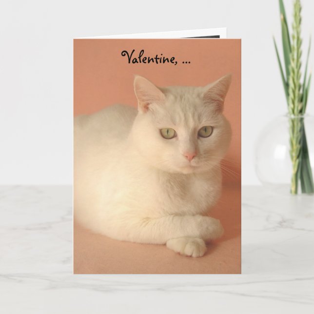 Cartes Pour Fêtes Annuelles Chats Valentine personnalisables (Devant)