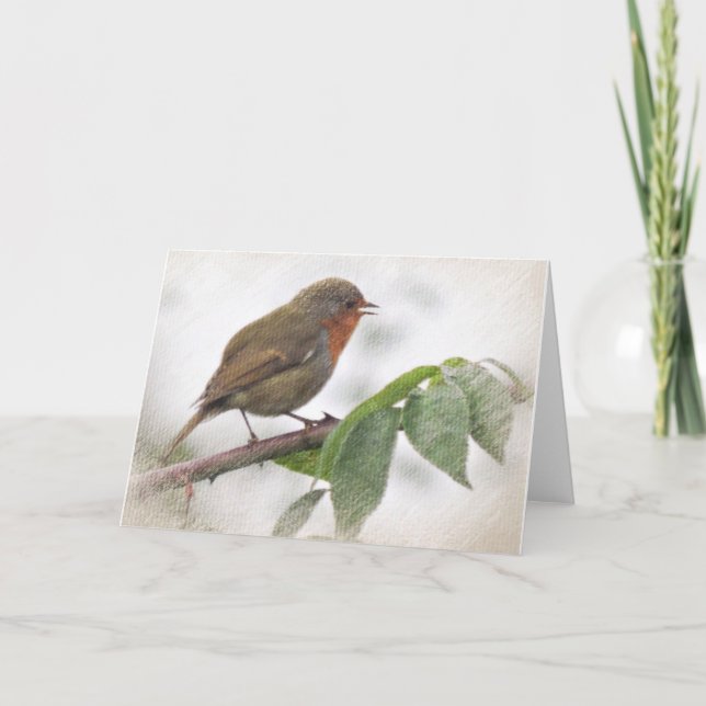 Cartes Pour Fêtes Annuelles Chatty Robin, Greeting Card, Enveloppopes included (Devant)