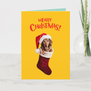 Cartes Pour Fêtes Annuelles Chaussette de Noël de teckel
