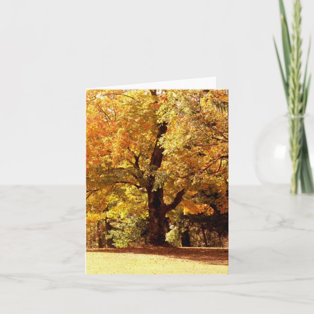 Cartes Pour Fêtes Annuelles Chêne dans l'automne (Devant)