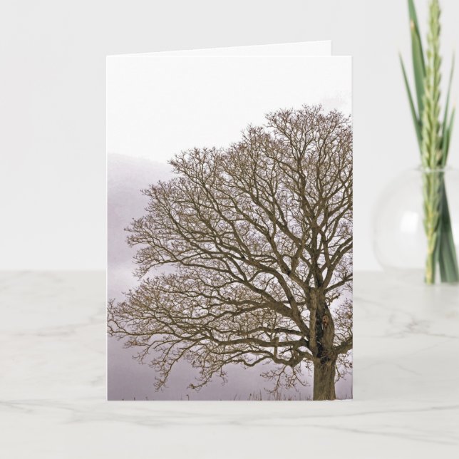 Cartes Pour Fêtes Annuelles Chêne en hiver 1 (Devant)