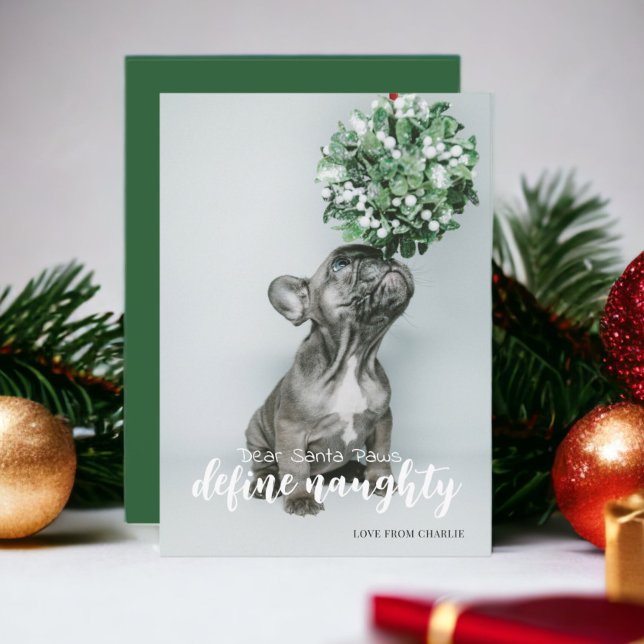 Cartes Pour Fêtes Annuelles Cher Père Noël Définir la typographie coquine Phot (Dear Santa Paws Define Naughty Typography Photo Holiday Card from Ricaso. dog or cat themed cards)