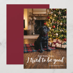 Cartes Pour Fêtes Annuelles Cher Père Noël j'ai essayé d'être sage Photo