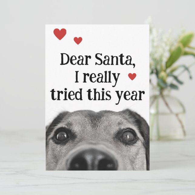 Cartes Pour Fêtes Annuelles Cher Père Noël J'Ai Vraiment Essayé Cette Année (Debout devant)