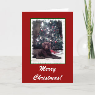 Cartes Pour Fêtes Annuelles Chesapeake Bay Retriever, Joyeux Noël !