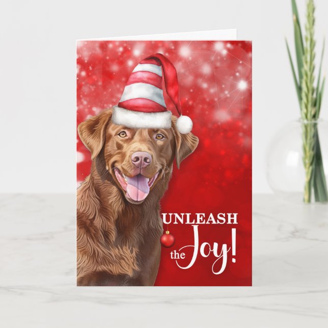 Cartes Pour Fêtes Annuelles Chesapeake Bay Retriever Unleash Joy Christmas (Devant)