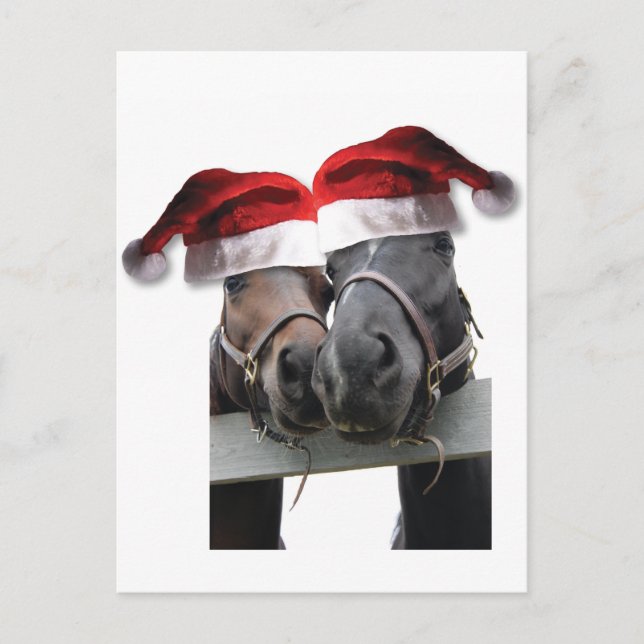 Cartes Pour Fêtes Annuelles Cheval Amour et Joyeux Noël (Devant)